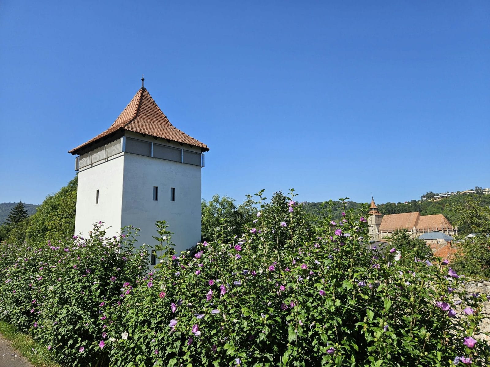 Art Tower & Black Church