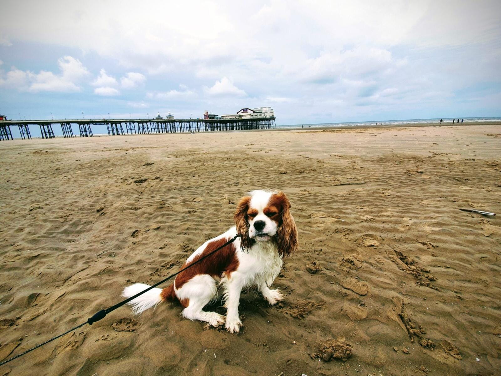 Blackpool Beach