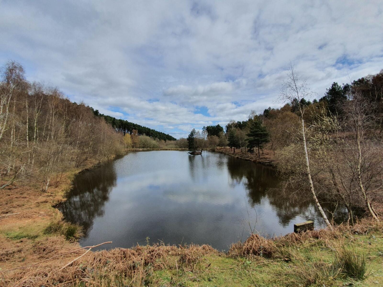 Cannock Chase AONB