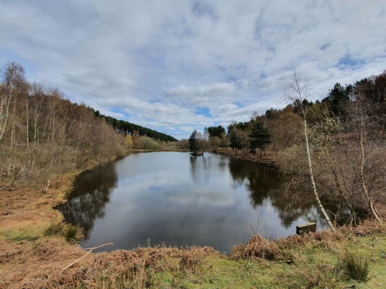 Cannock Chase AONB