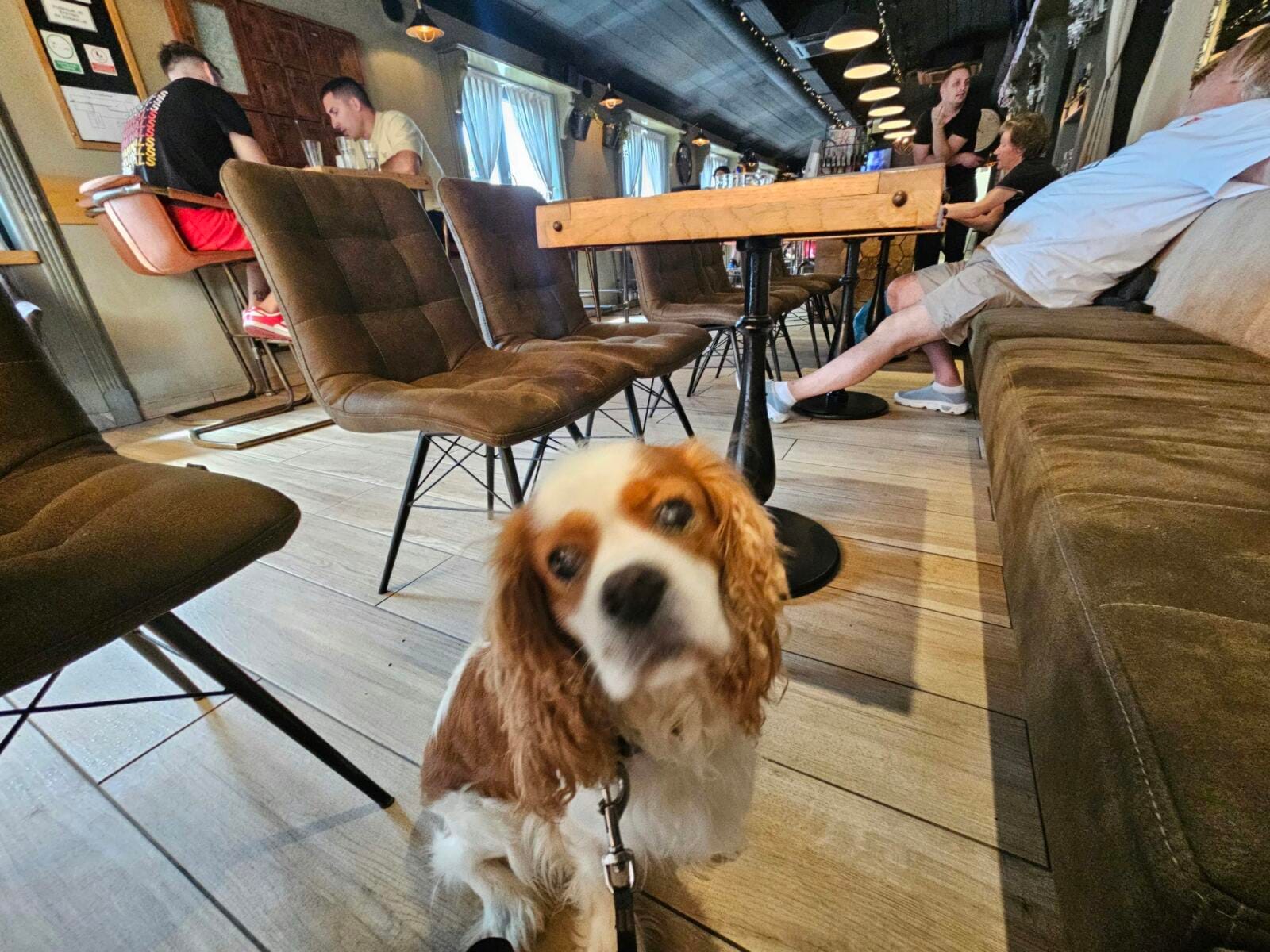 Dog Friendly Bars Matulji - Cafe Bar Roma