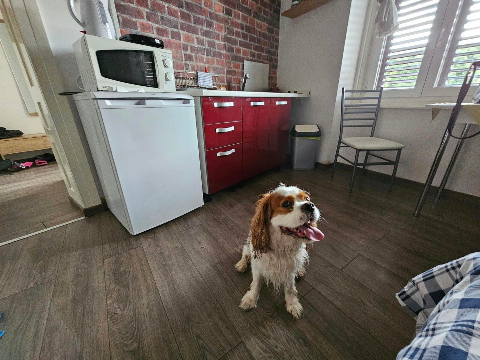 Dog Friendly Holiday Home