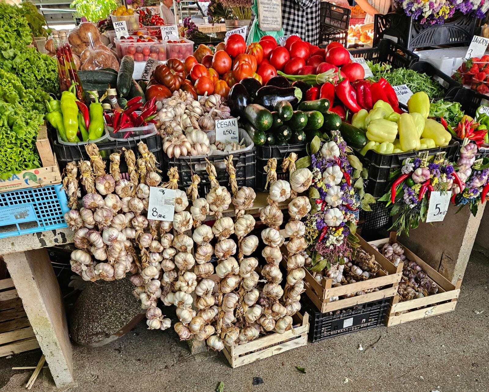 Garlic