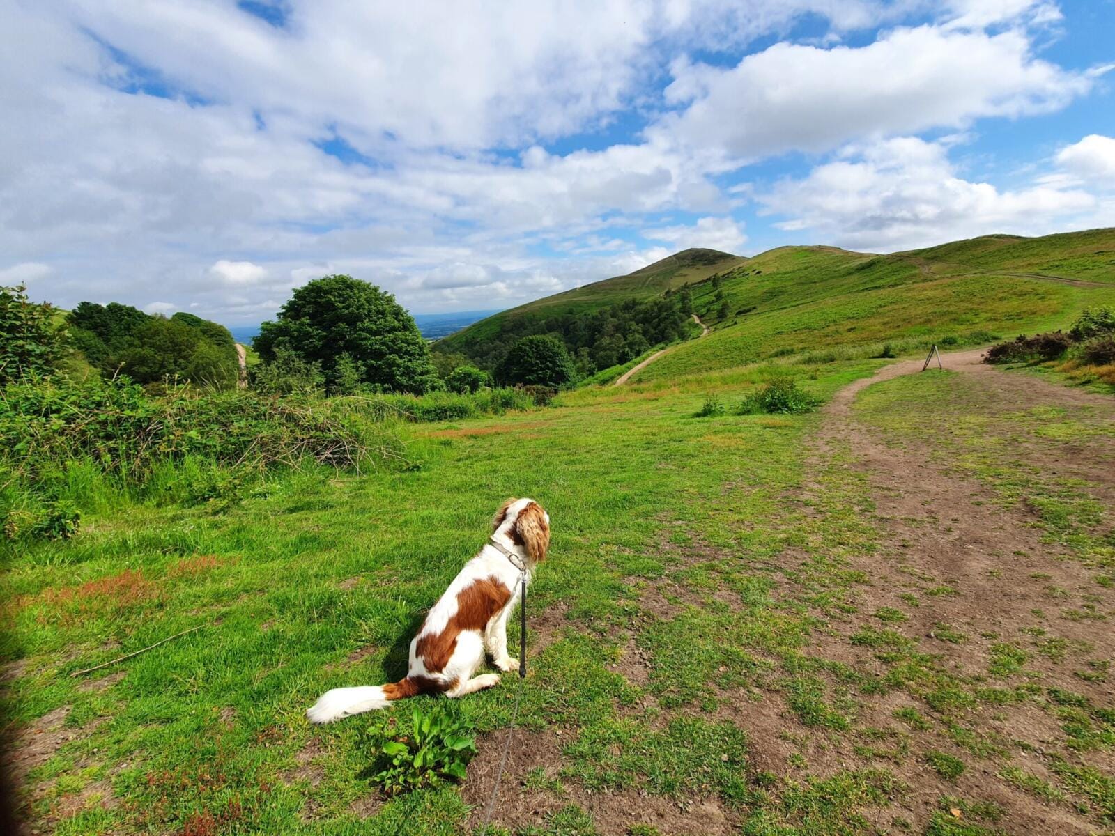 Malvern Hills UK
