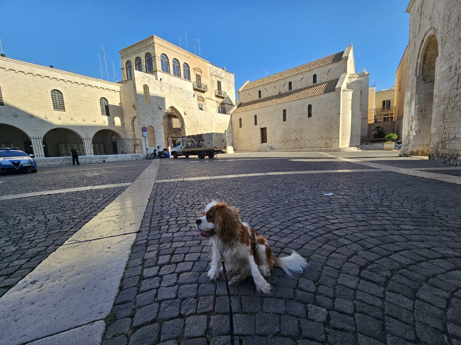 Basilica of Saint Nicholas Dog