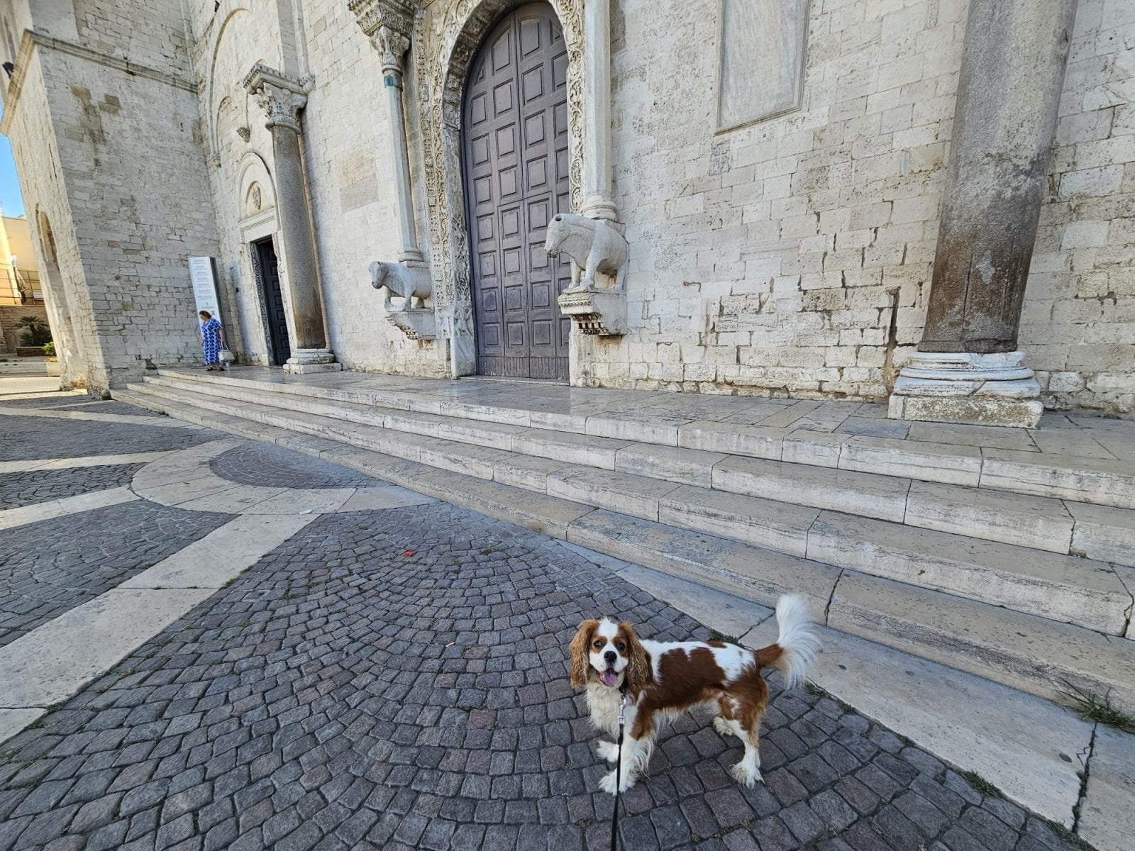 Basilica of Saint Nicholas Dog Walk