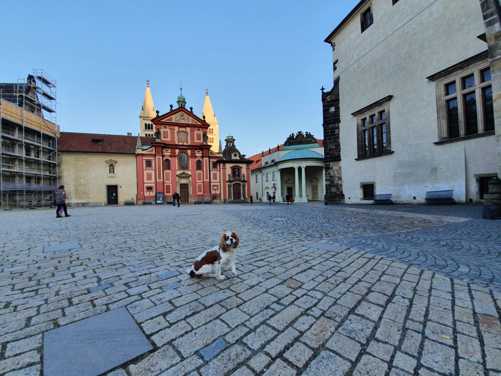 Czech Dog Walk