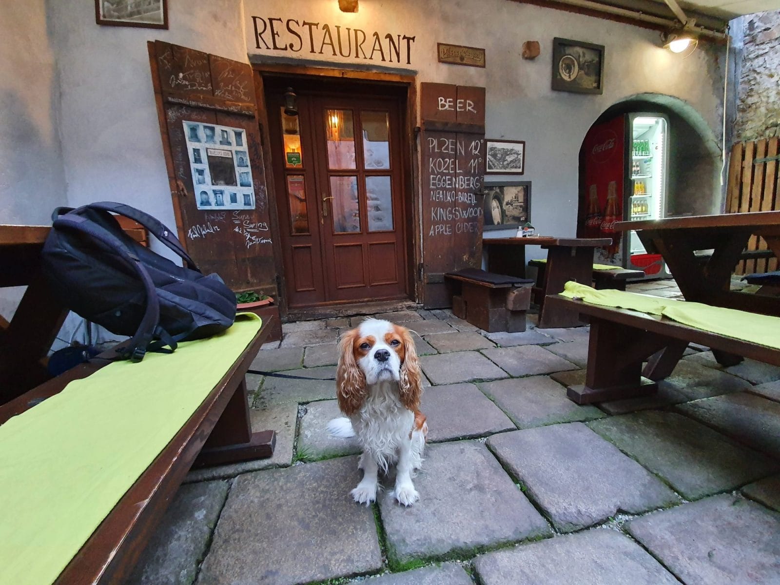 Dog Friendly Cesky Krumlov