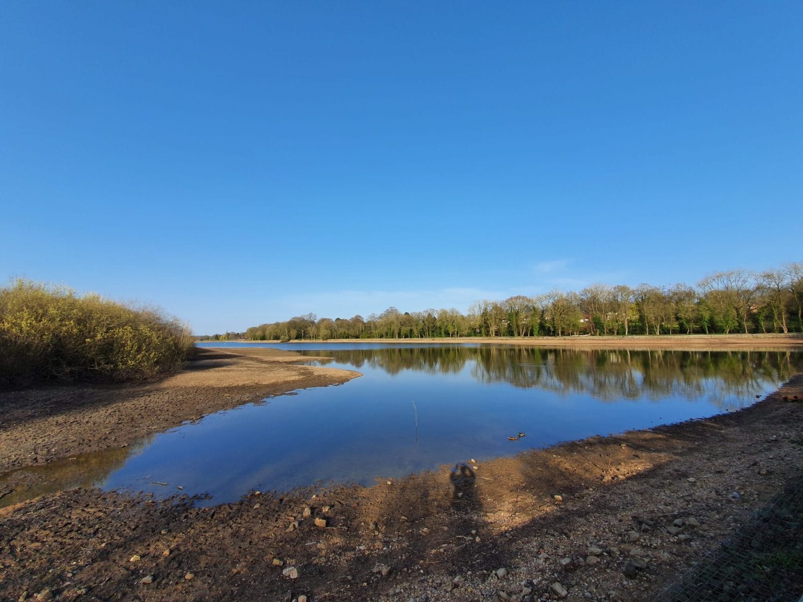 Earlswood Lakes