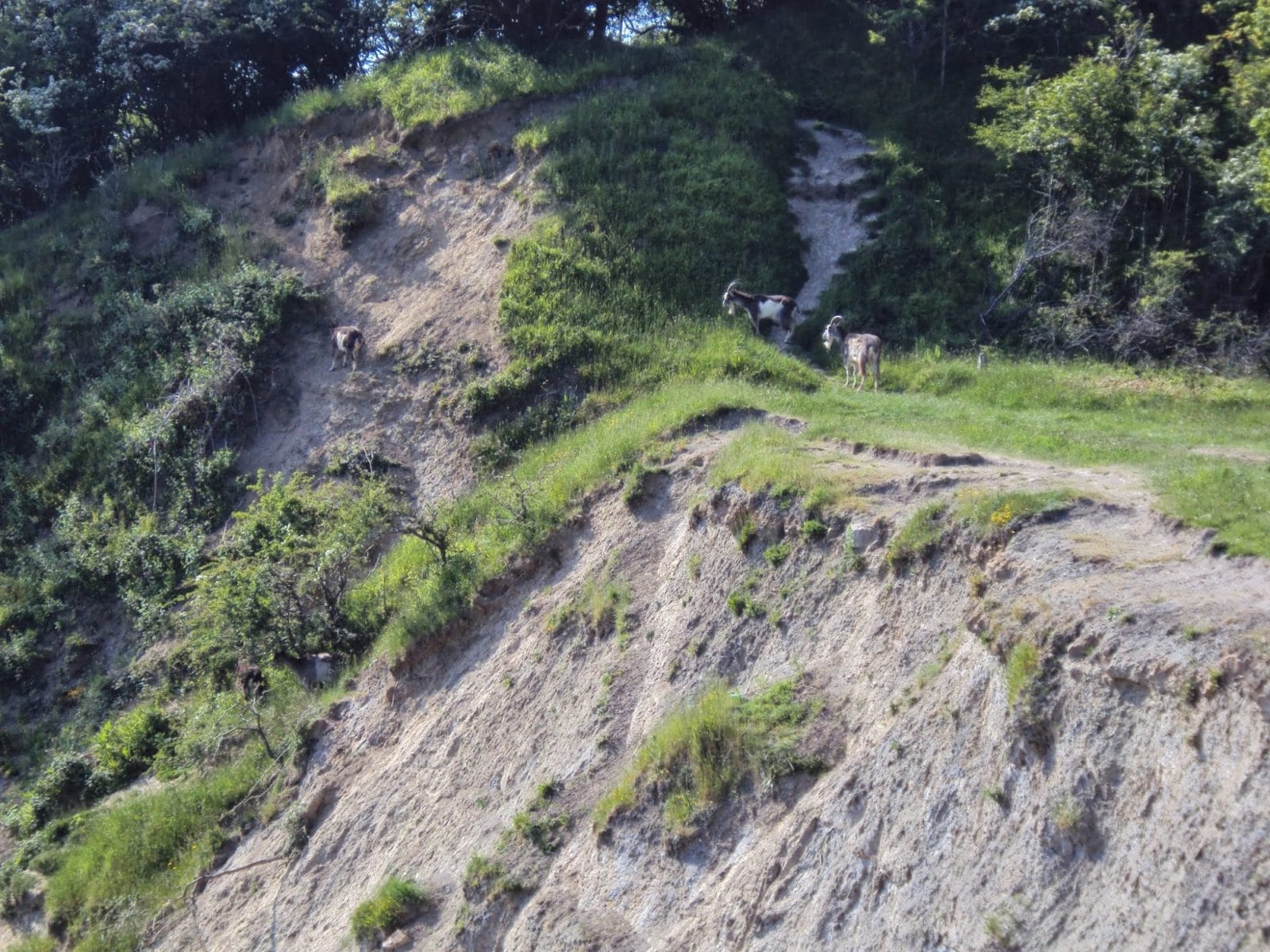 Robinswood Hill
