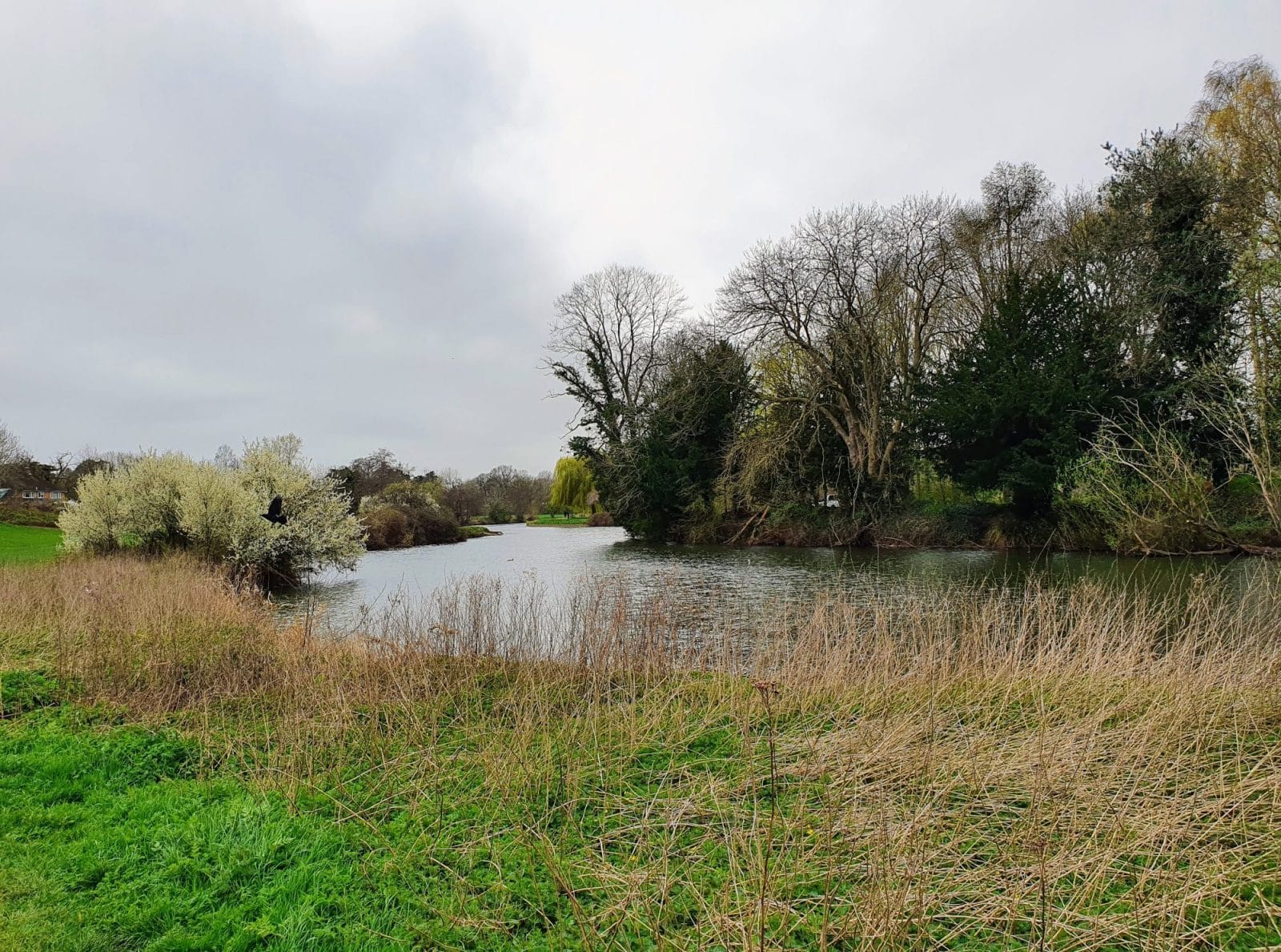 Walk The River Avon