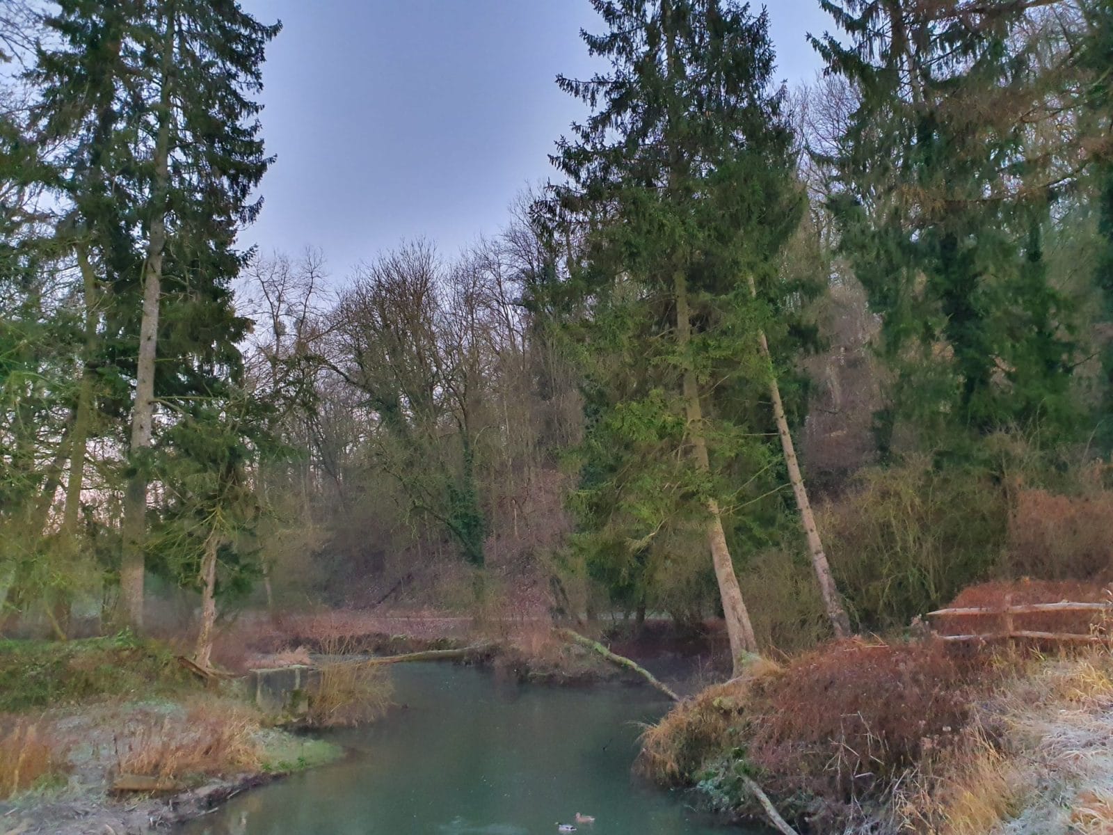 Walking in Houthem Saint Gerlach