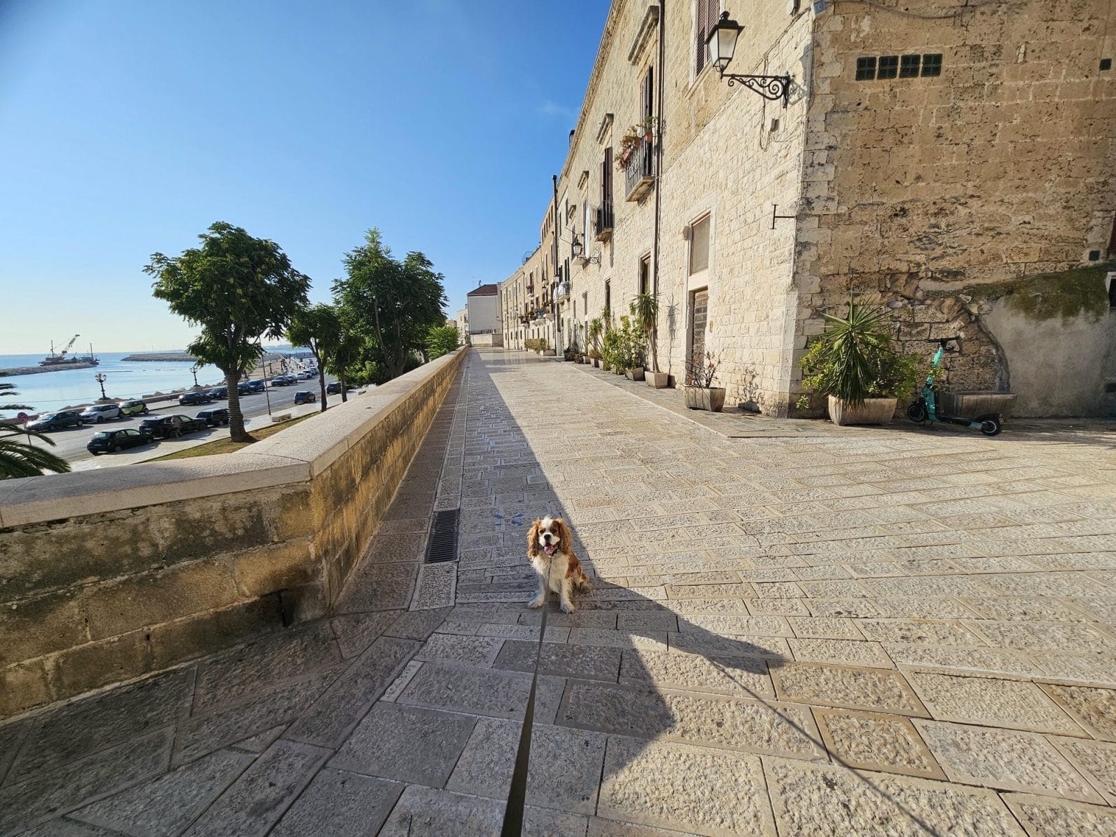 the Wall of Bari