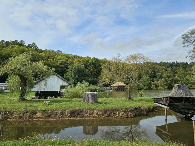 Autumn Museum