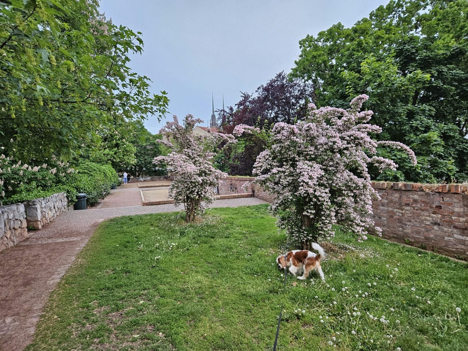 Blossom castle