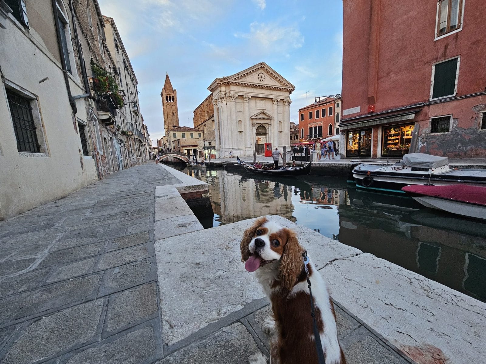 Campo S. Barnaba Dog Walks