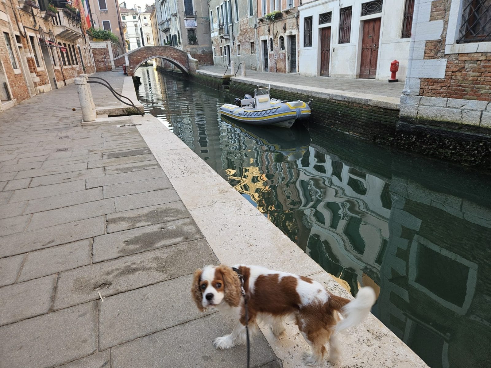 Canal Walks