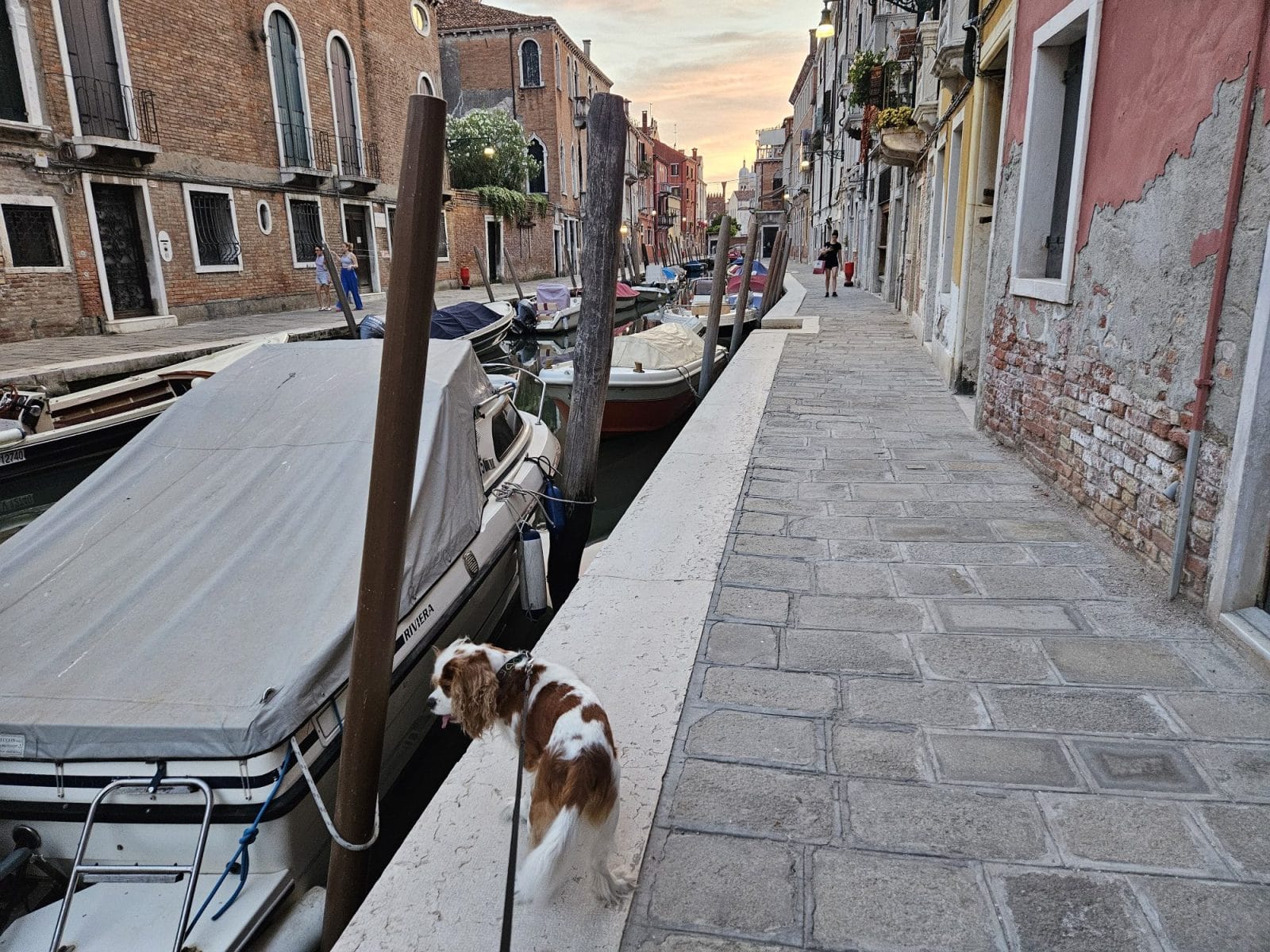 Dorsoduro Sunset Dog Walk