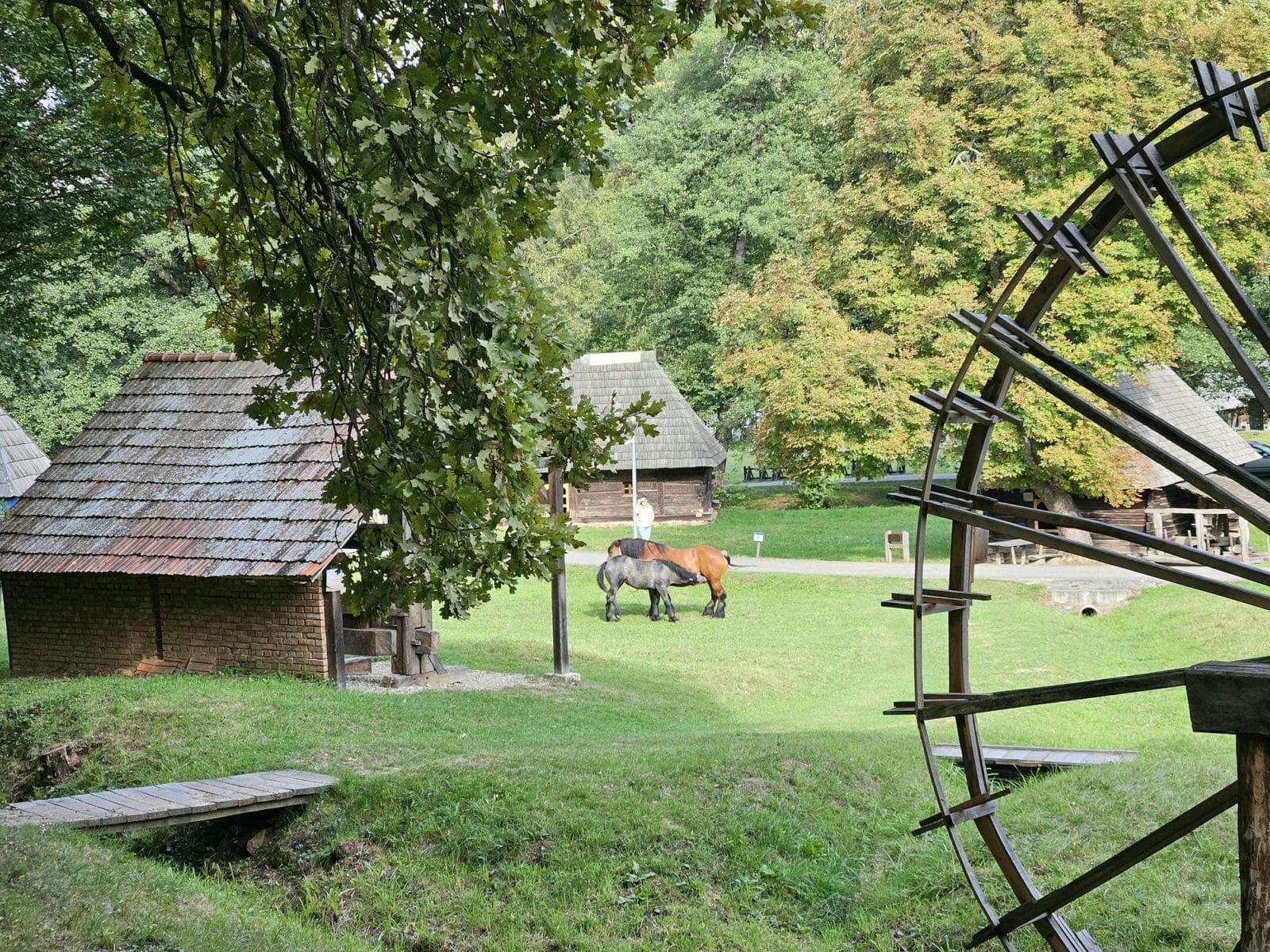 Horse and foal
