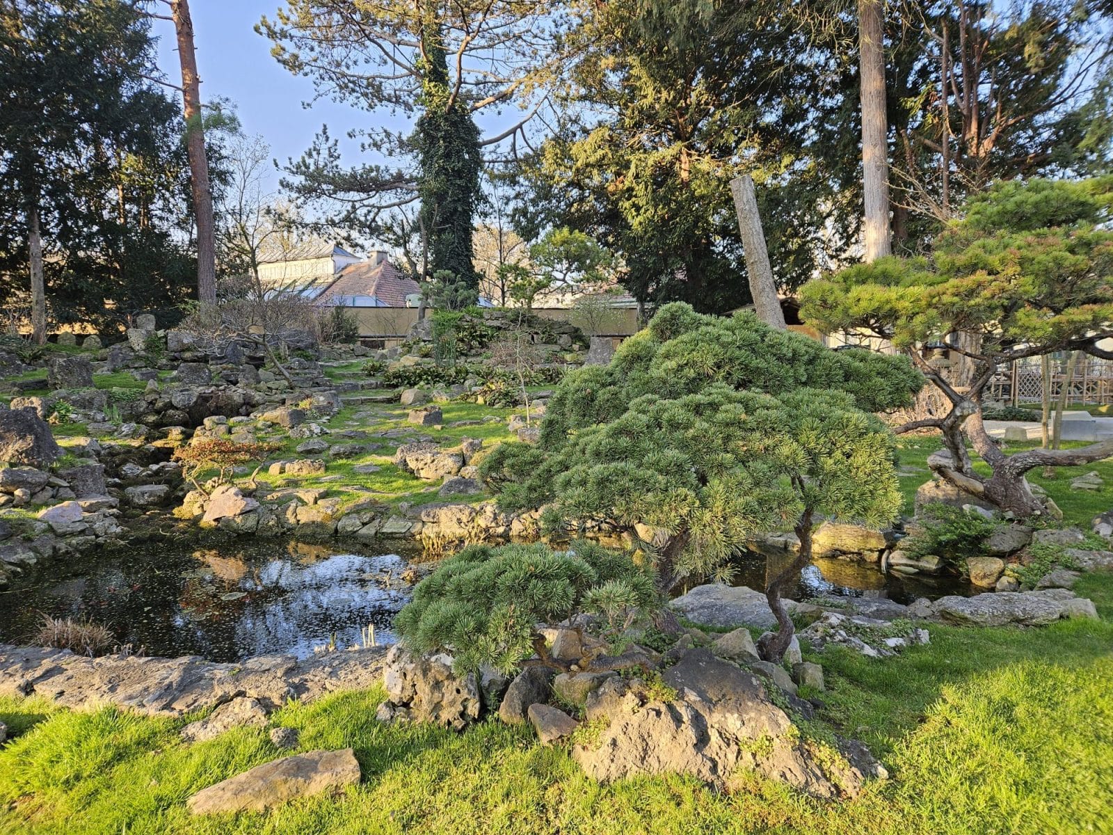 Japanese Garden Schonbrunn