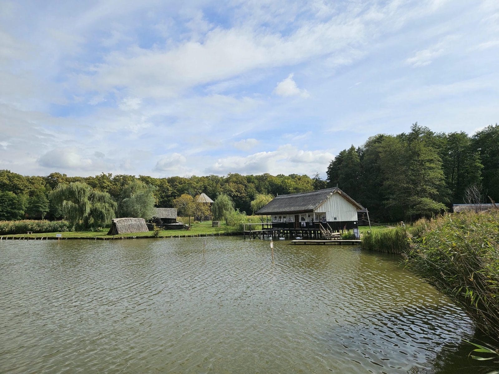 Lake & Fish Processing