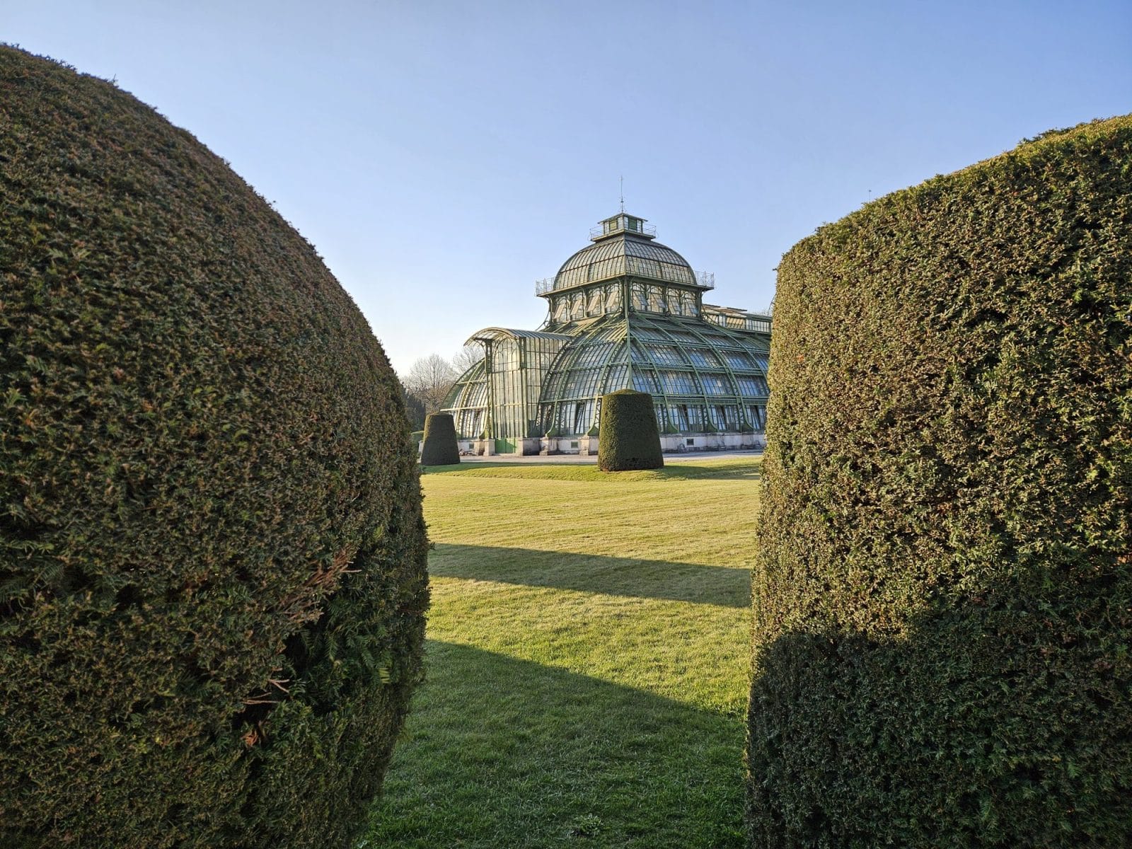 Palm House and Hedges