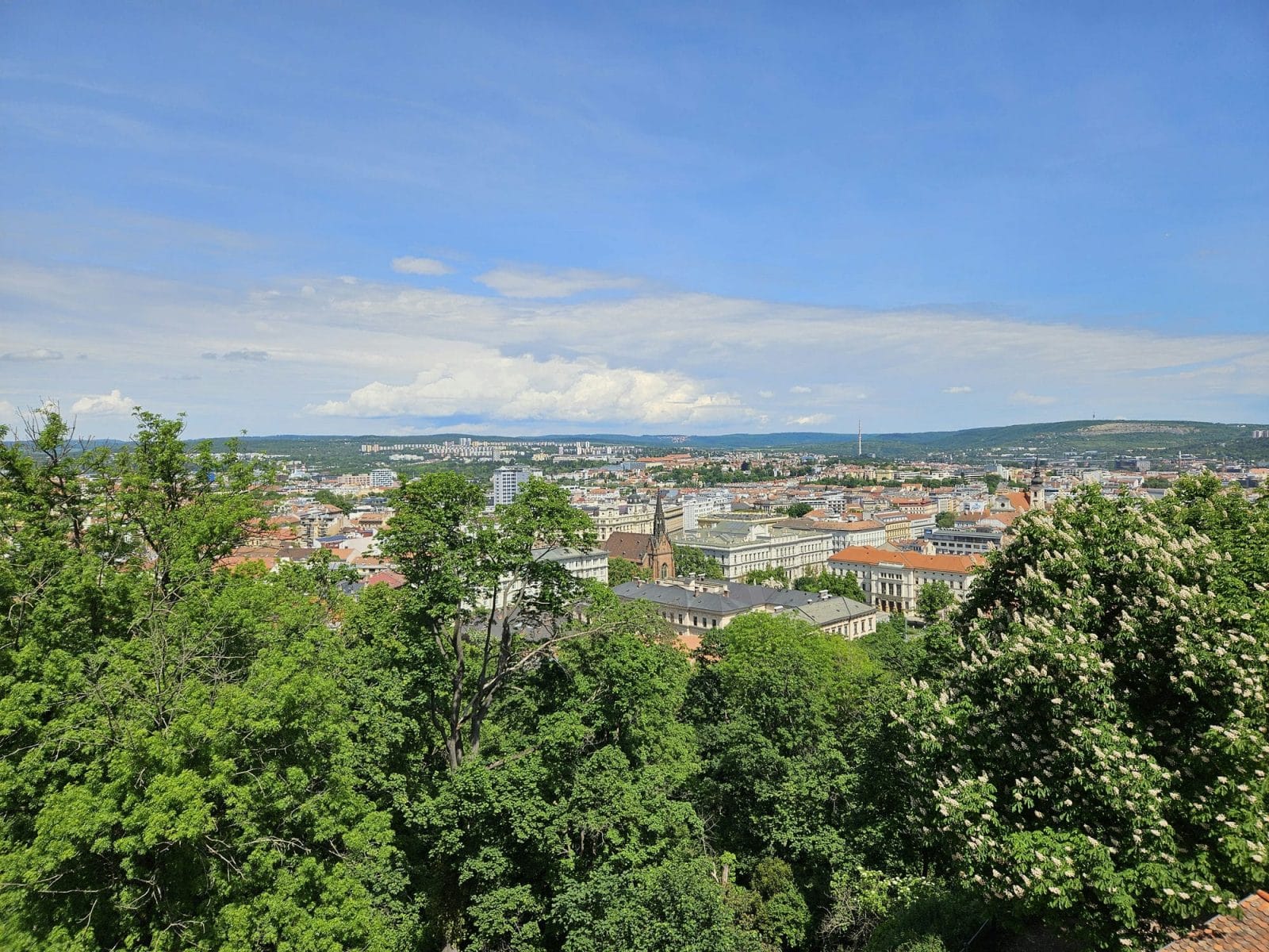 Park Views