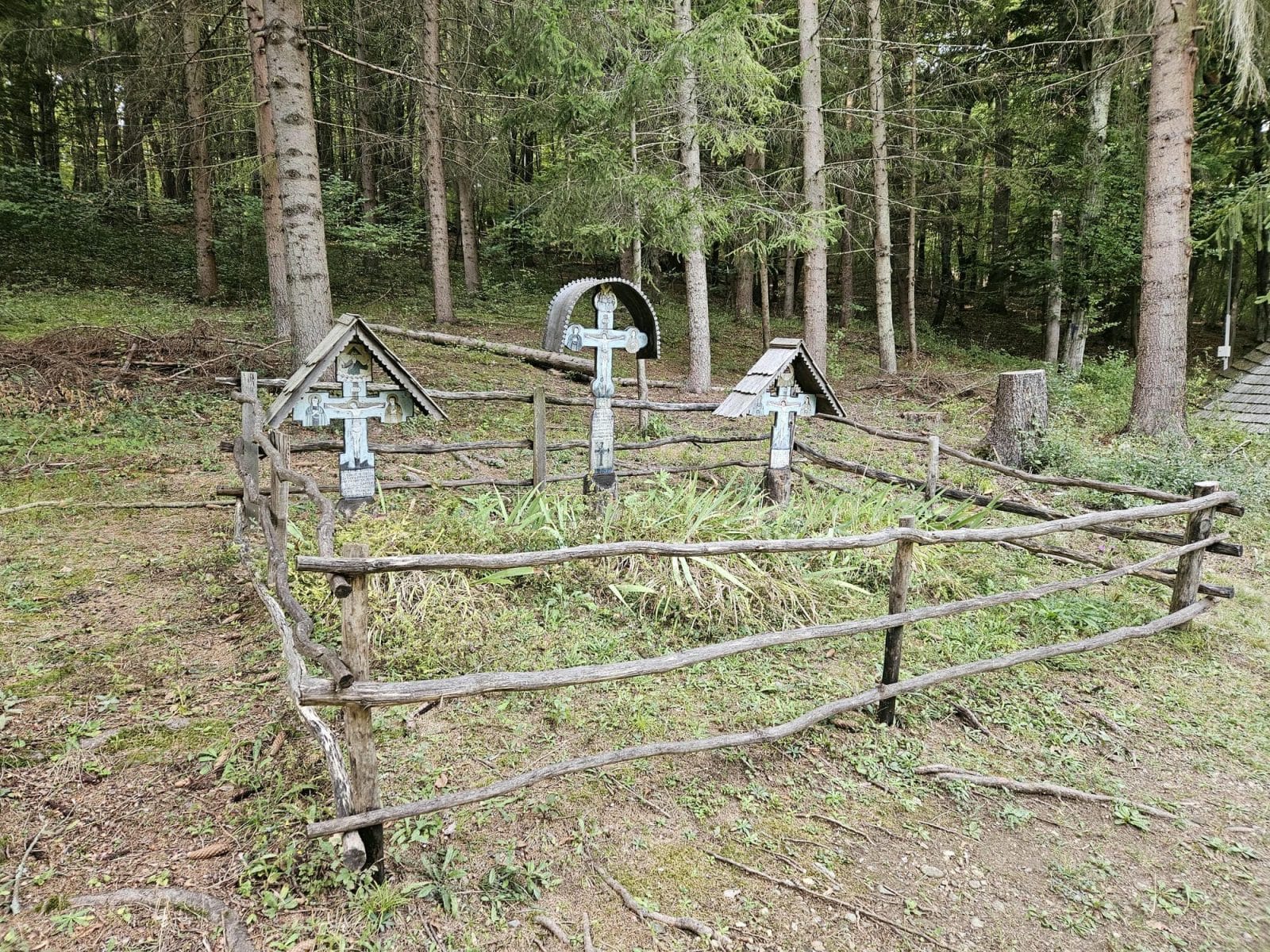 Shepherd Graves