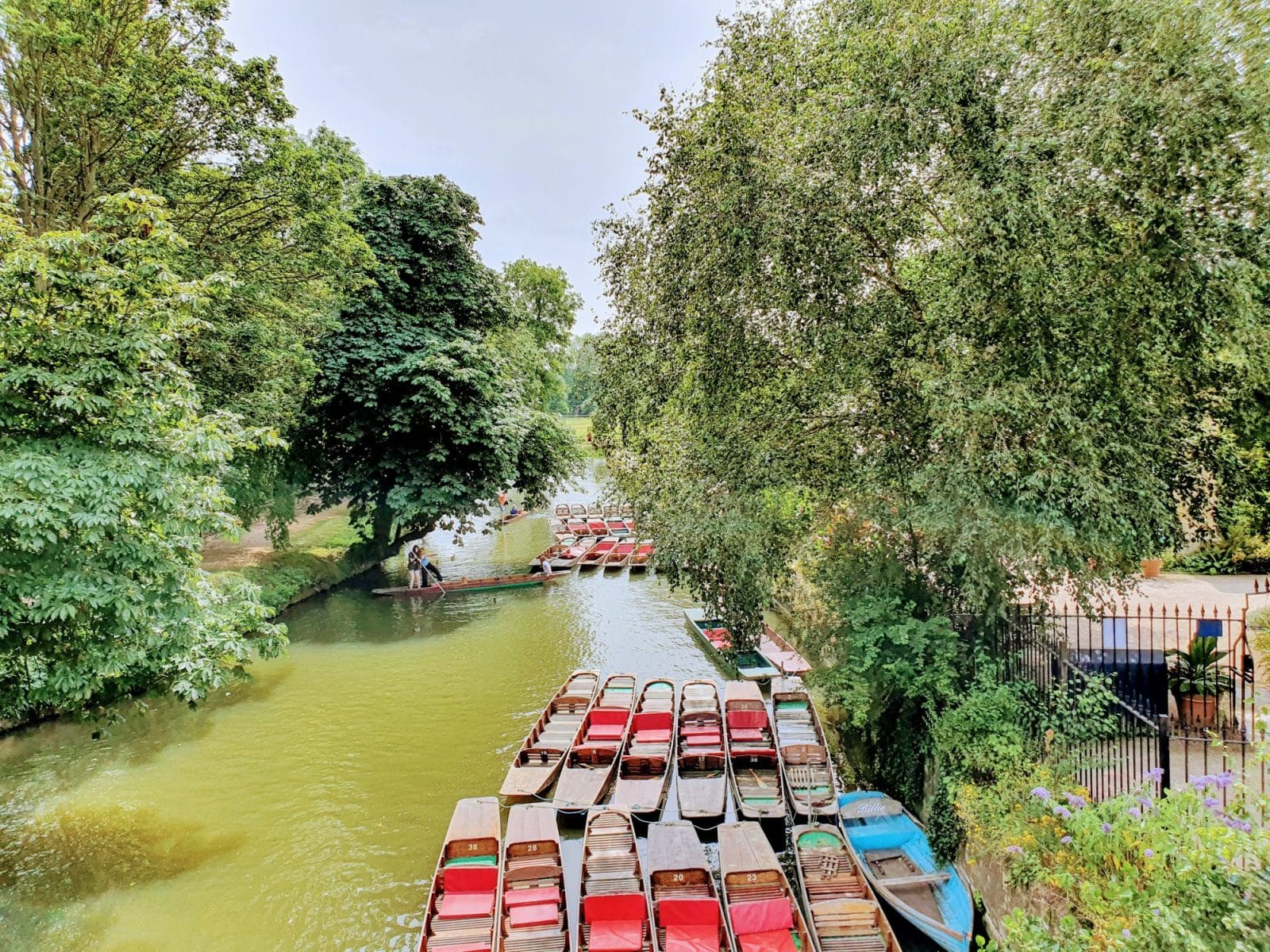 Oxford Punting