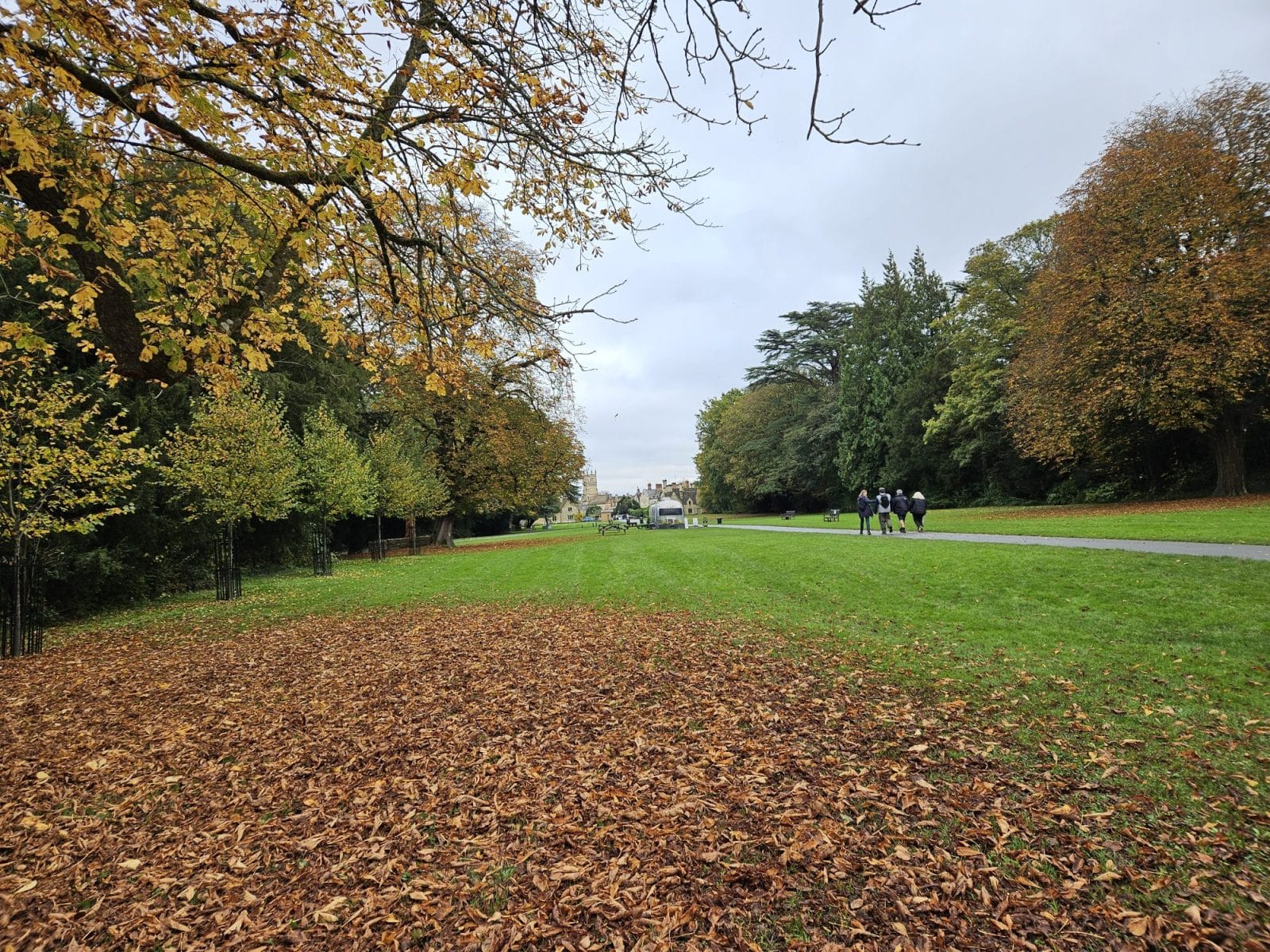 Cirencester Park Cotswolds
