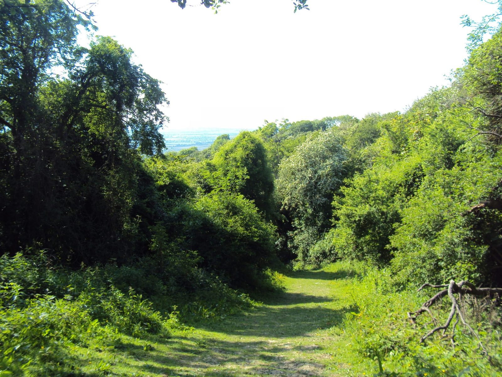 Robinswood Hill Walks