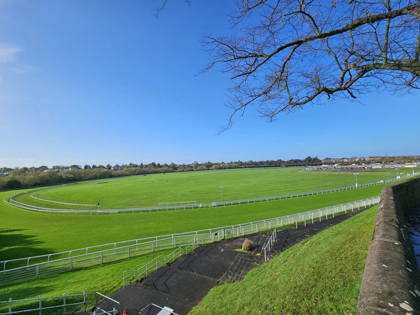 Horse Racing