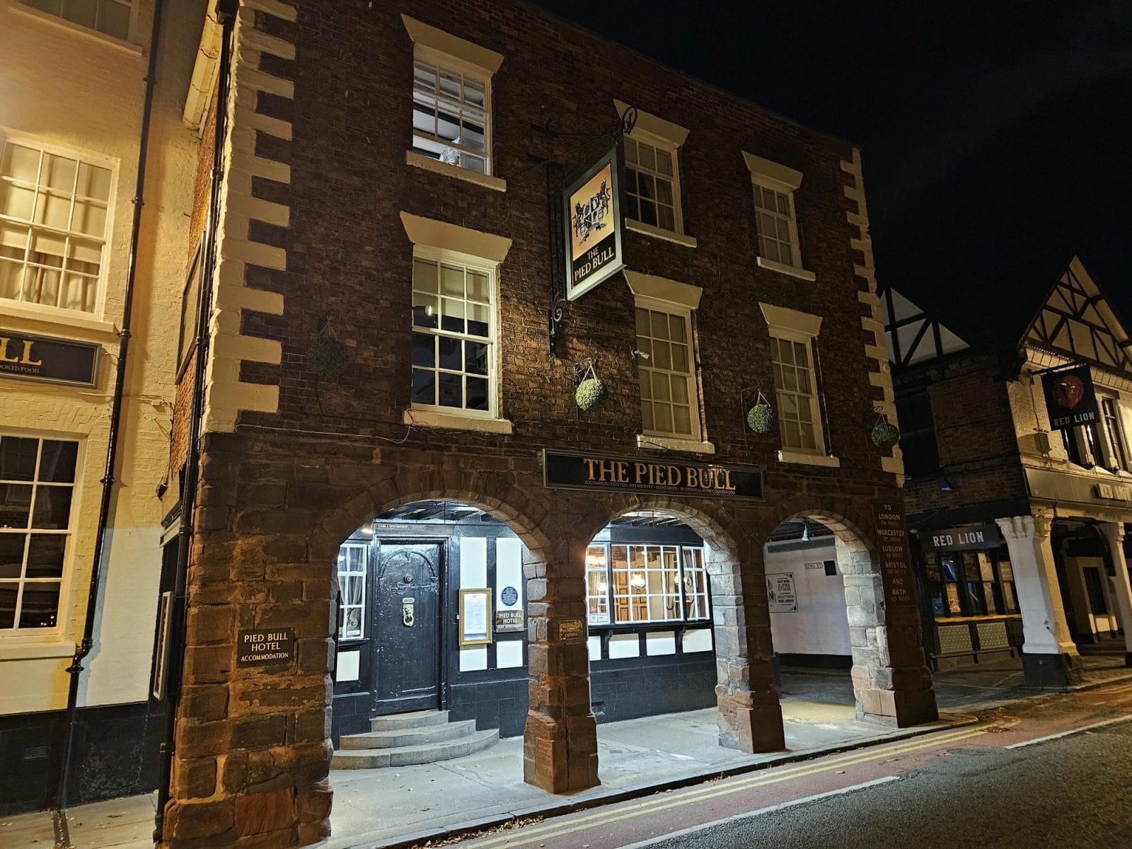 Pied Bull Chester