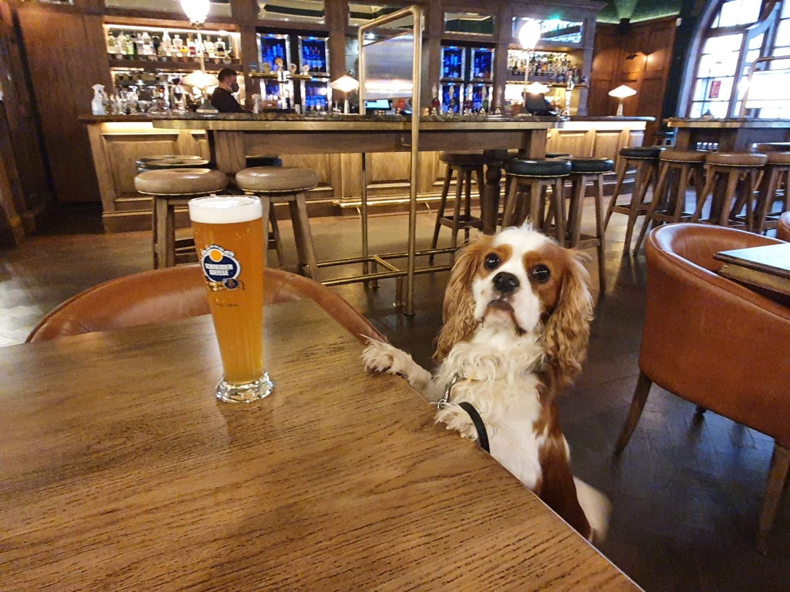 Colmore Tap Pub Birmingham