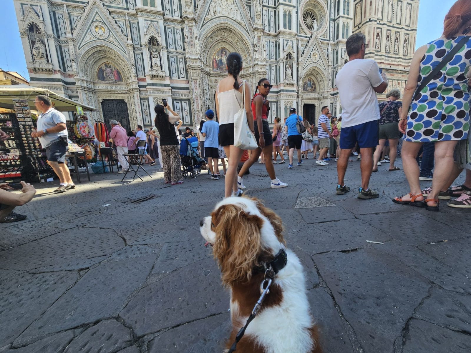 Florence