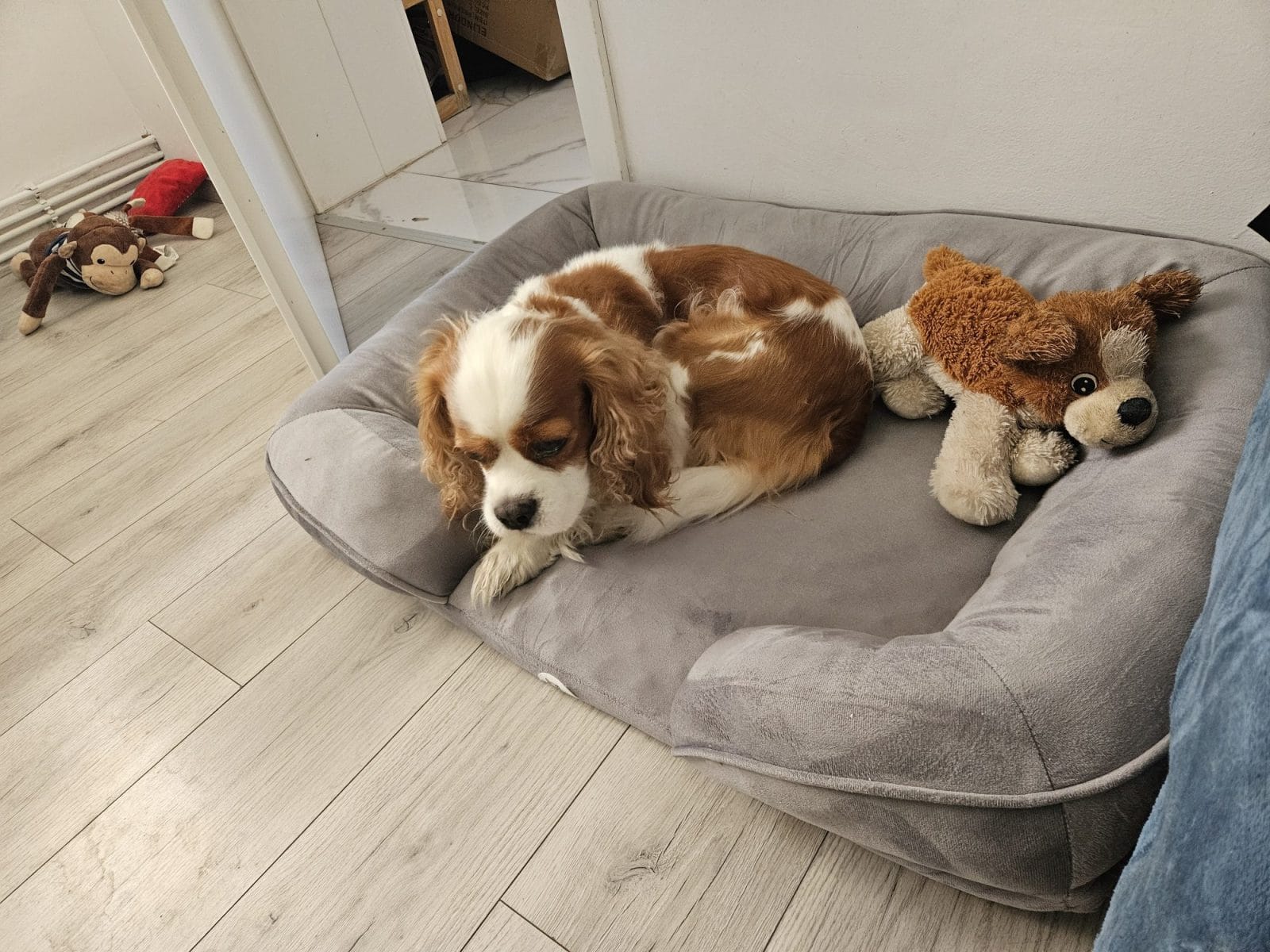 Henry Bed