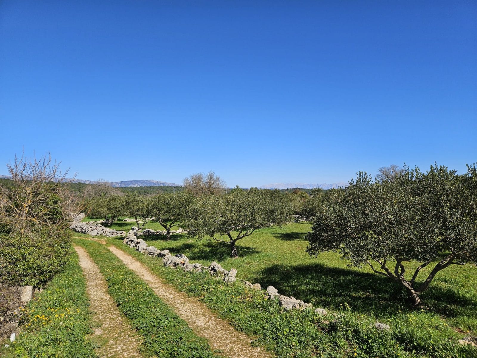 Hike Stari Grad