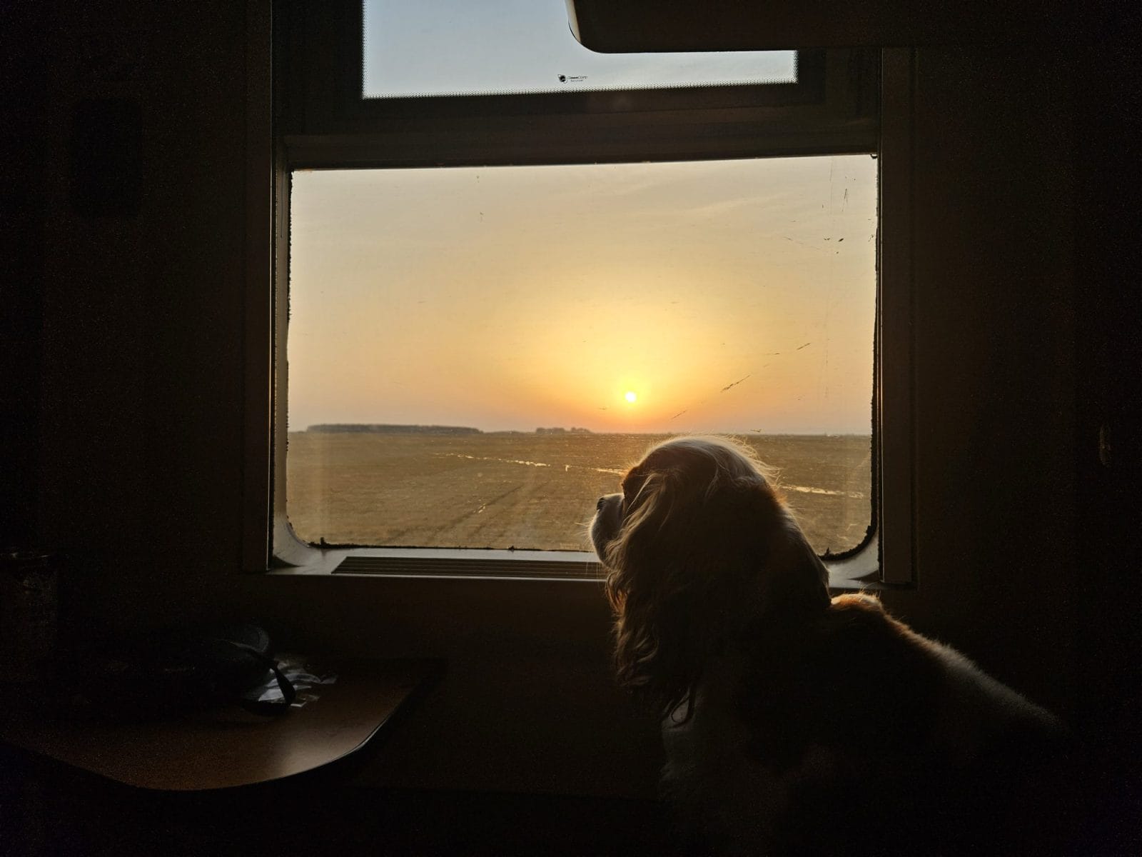 Night Train Sunrise