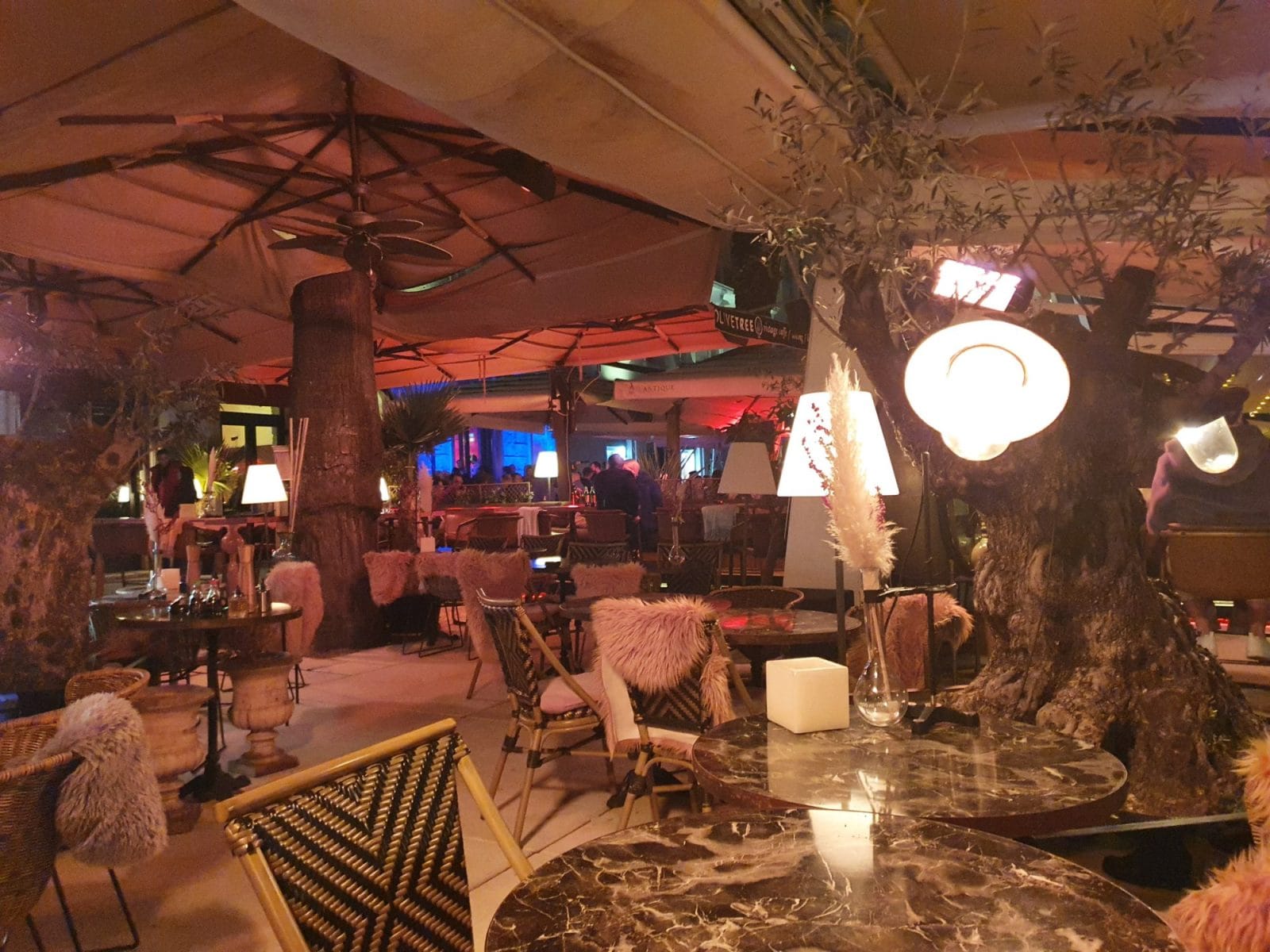 OLIVE TREE Dining & Clubbing