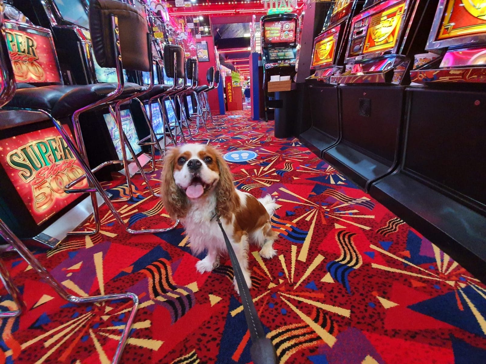 Amusement Arcade Looe