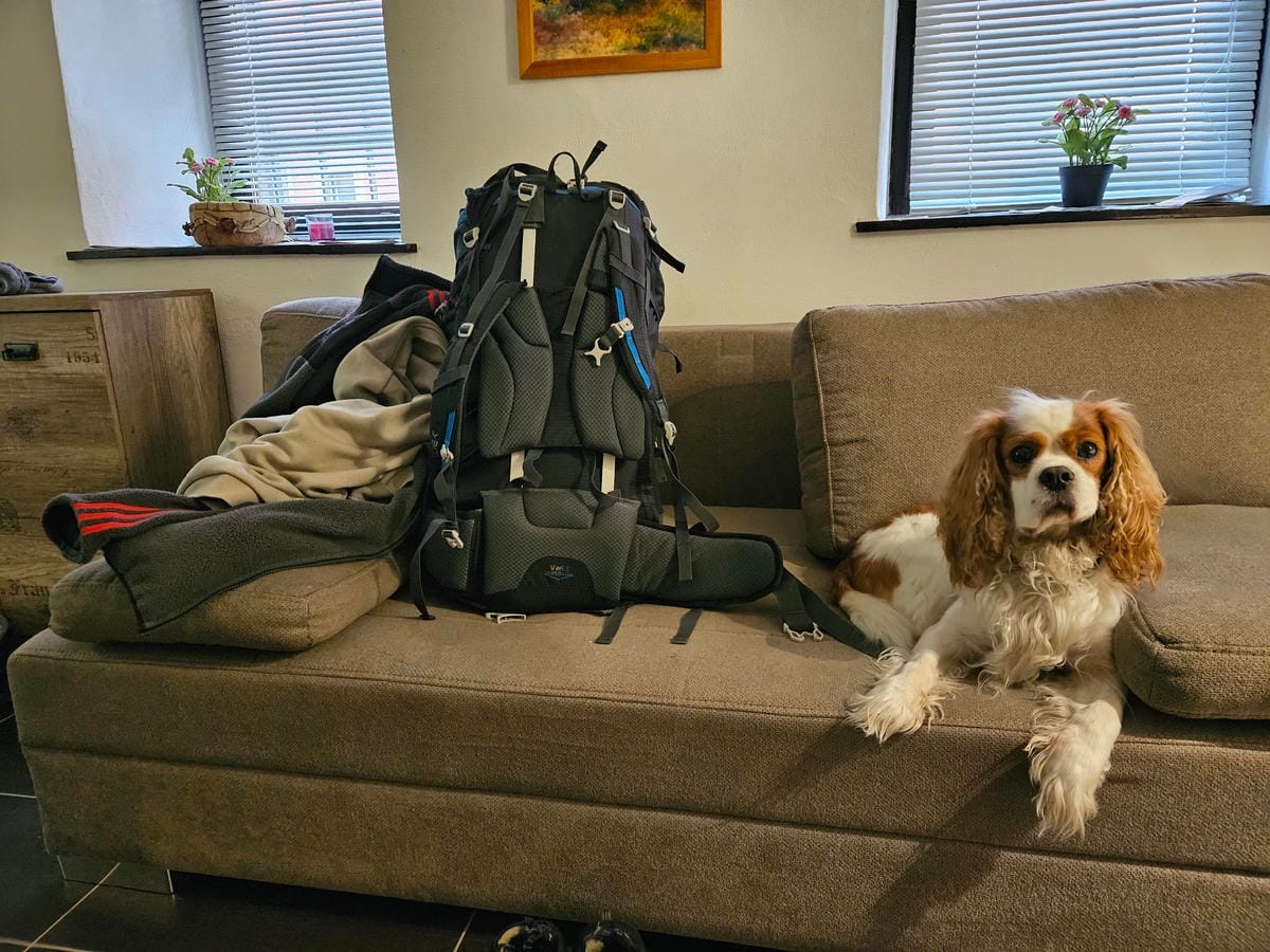 Dog Friendly Accommodation