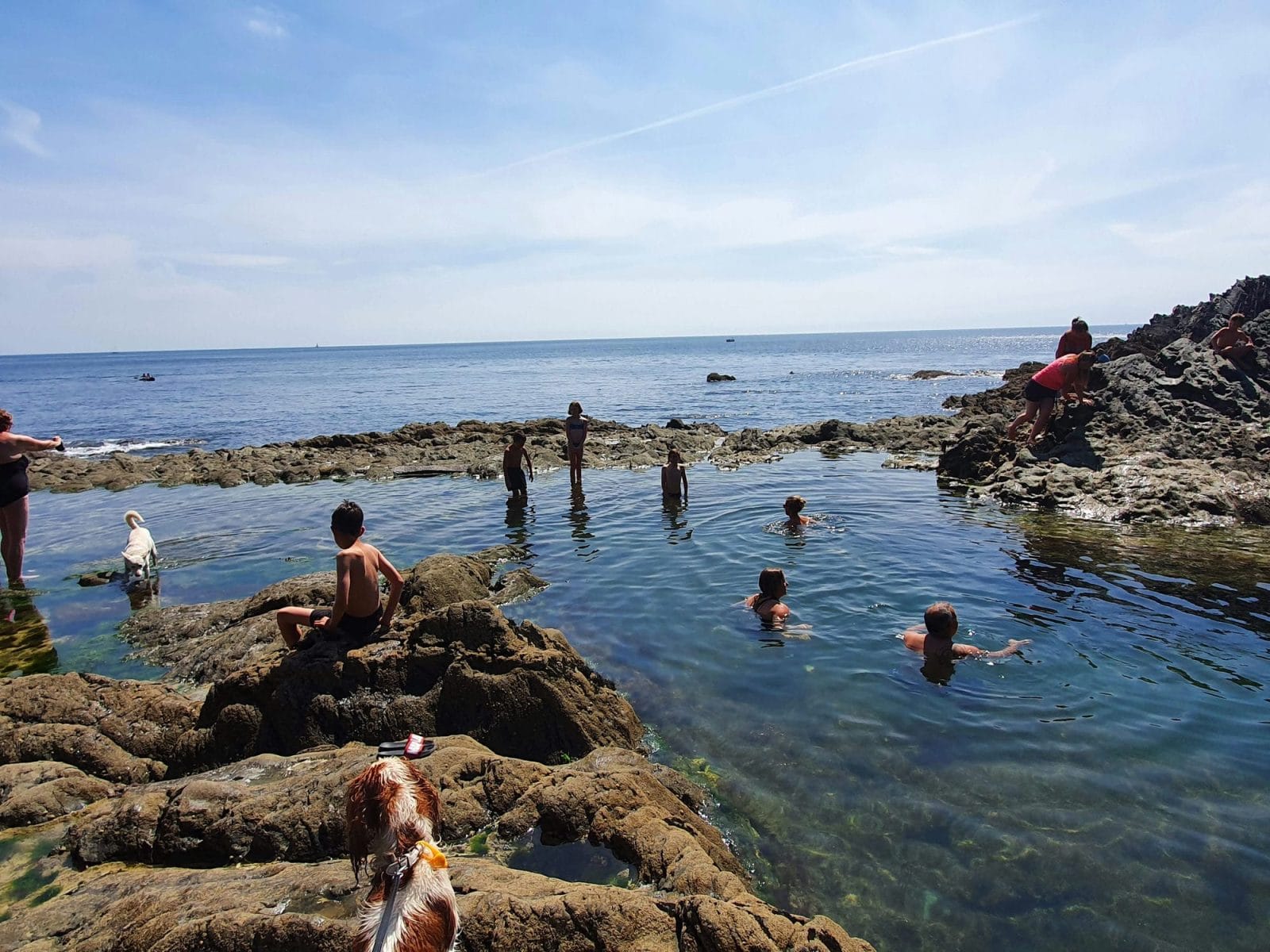 Dog Friendly Chapel Pool
