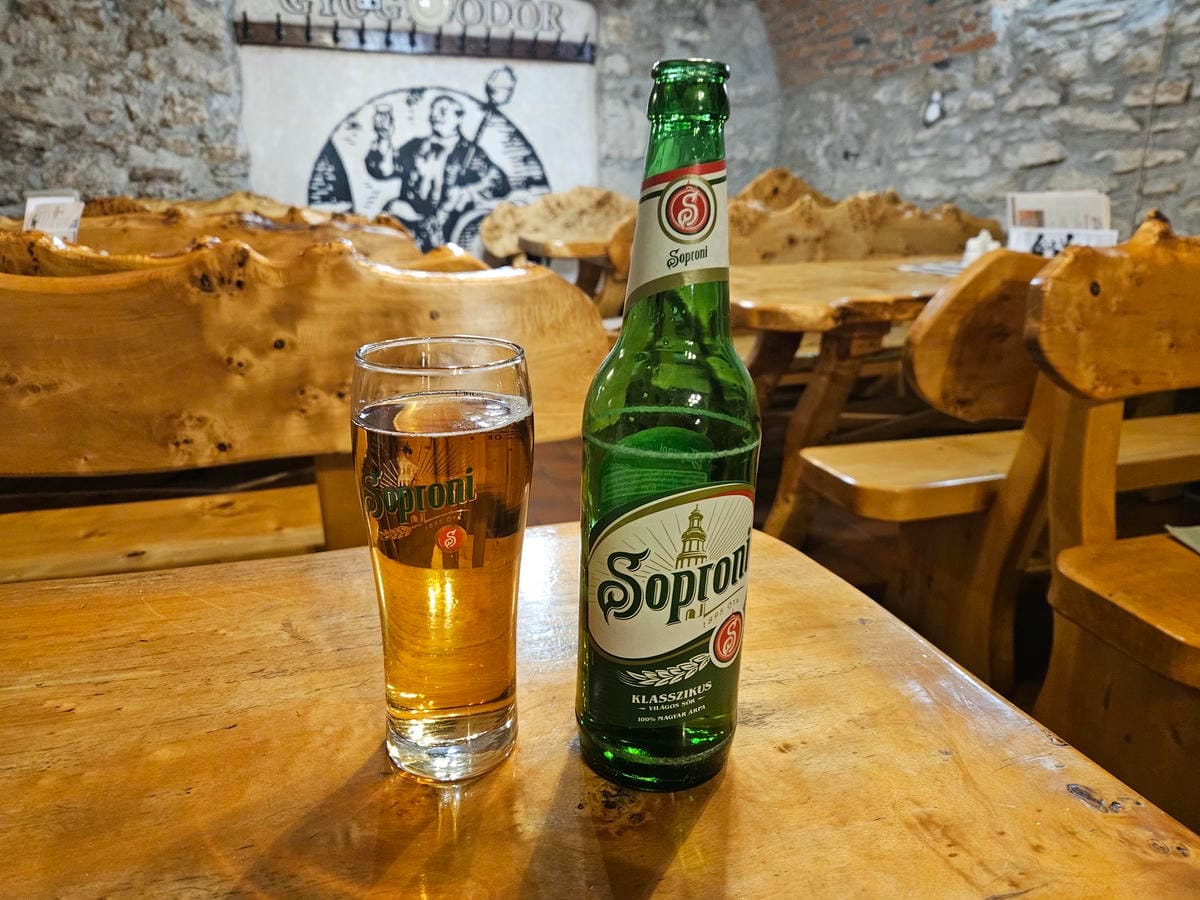 Gyógygödör Borozó Beer