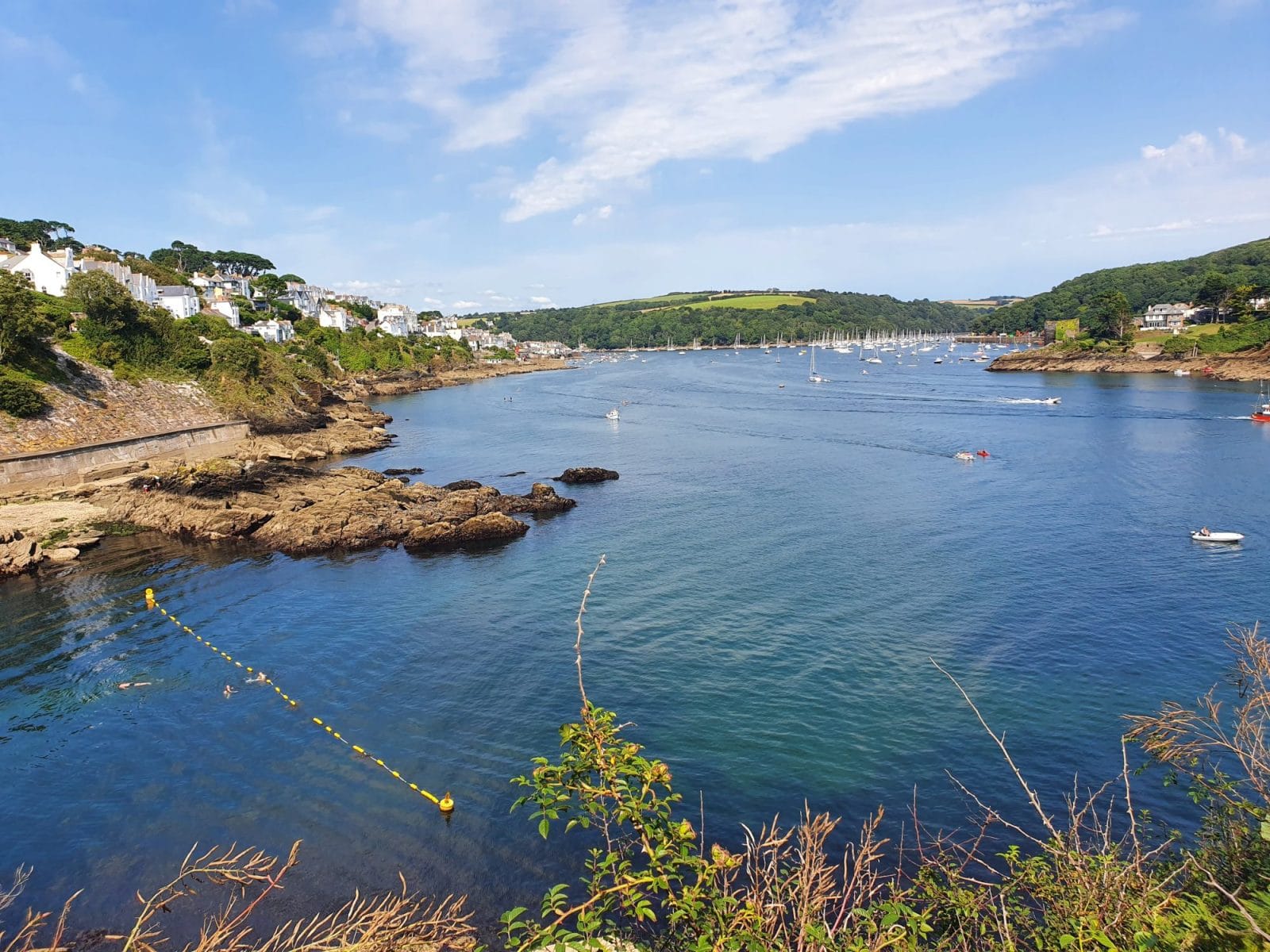 River Fowey Swimming area