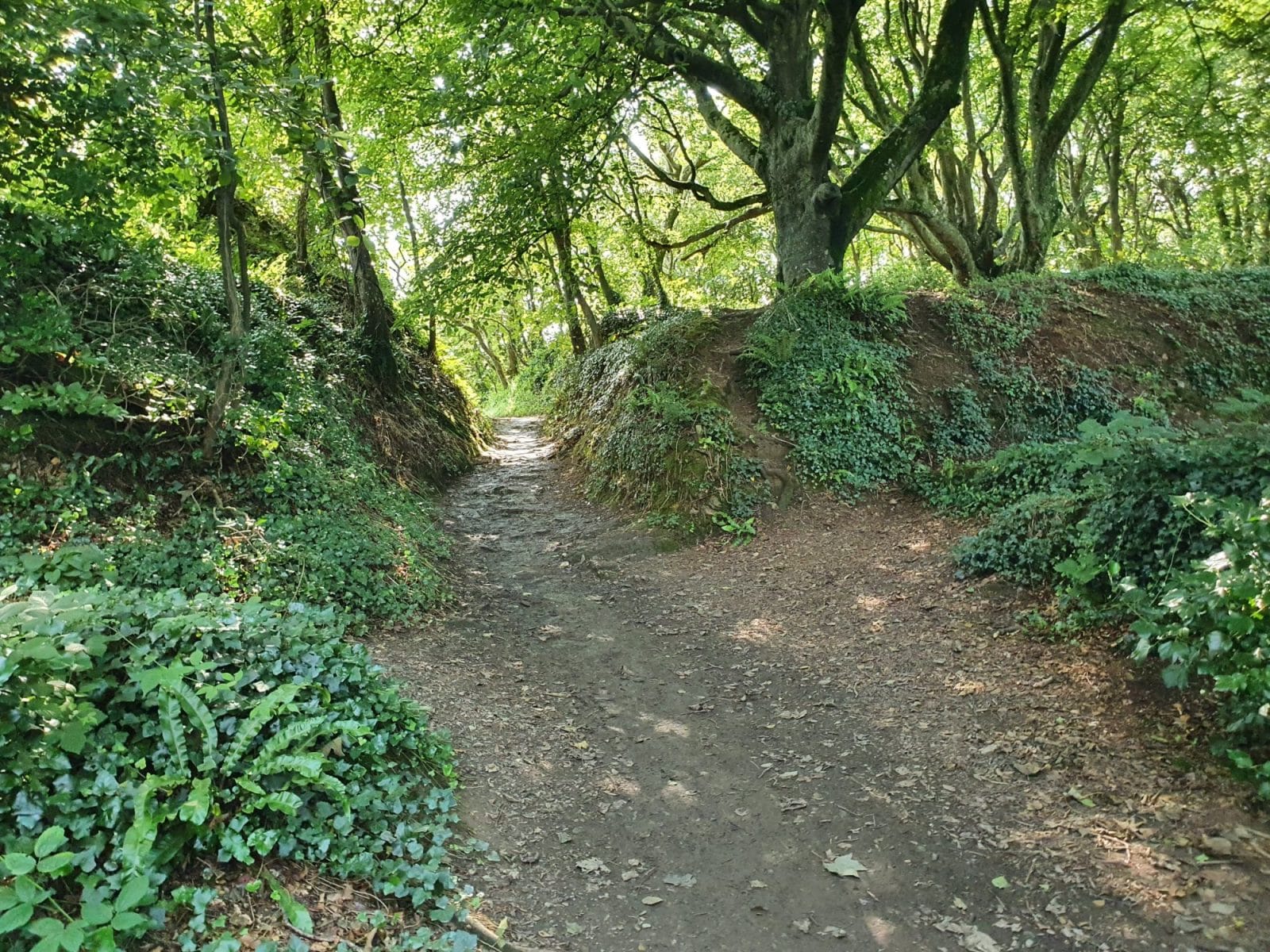 Saints Way Walk