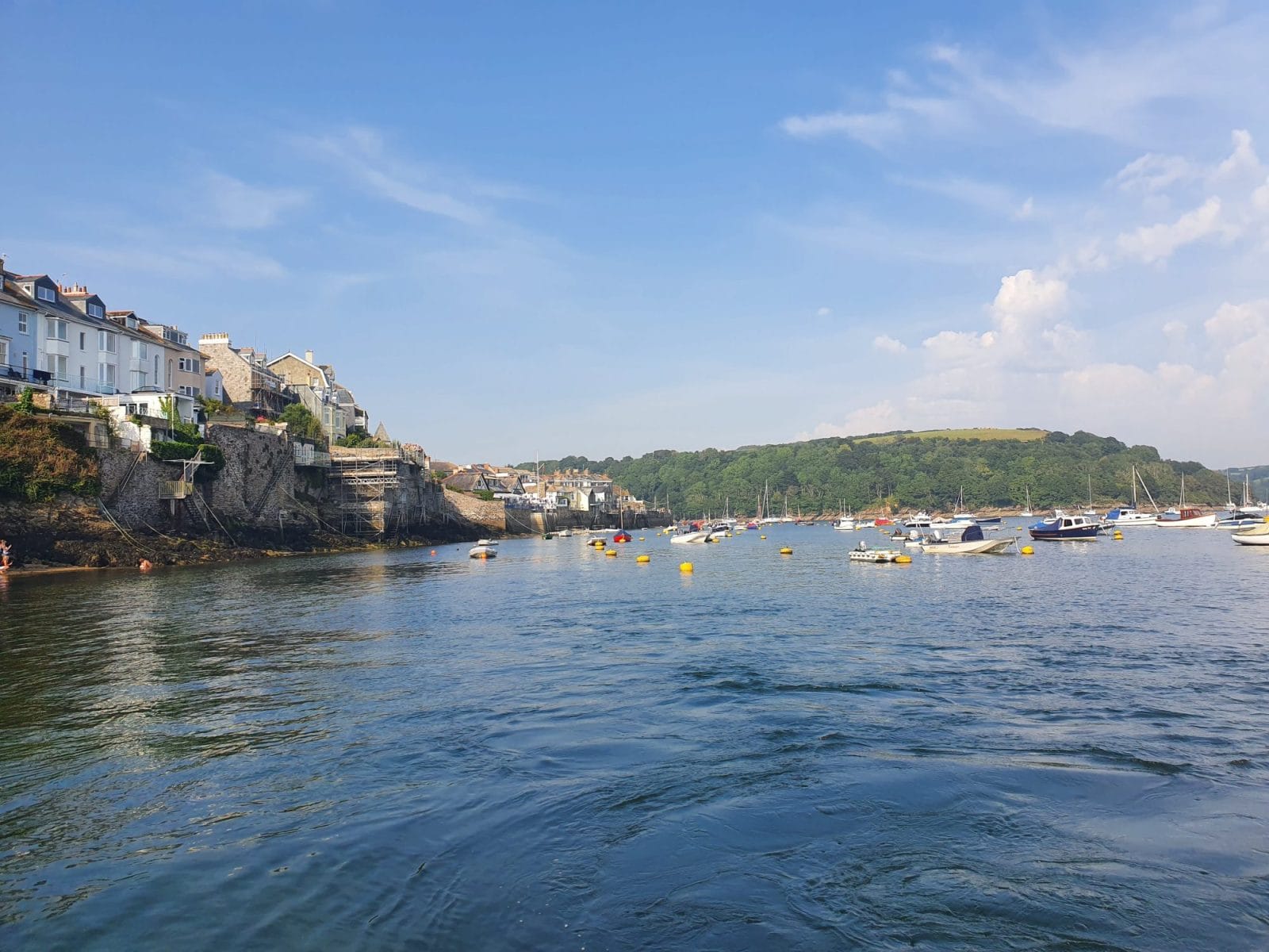 Banks of the River Fowey