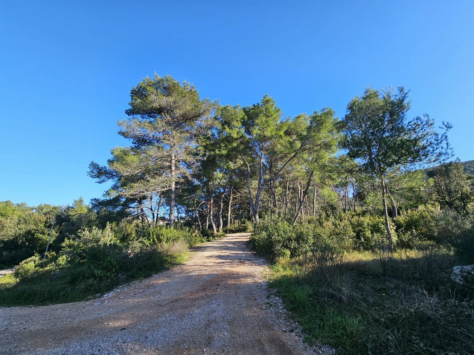 Coast Walk From Port