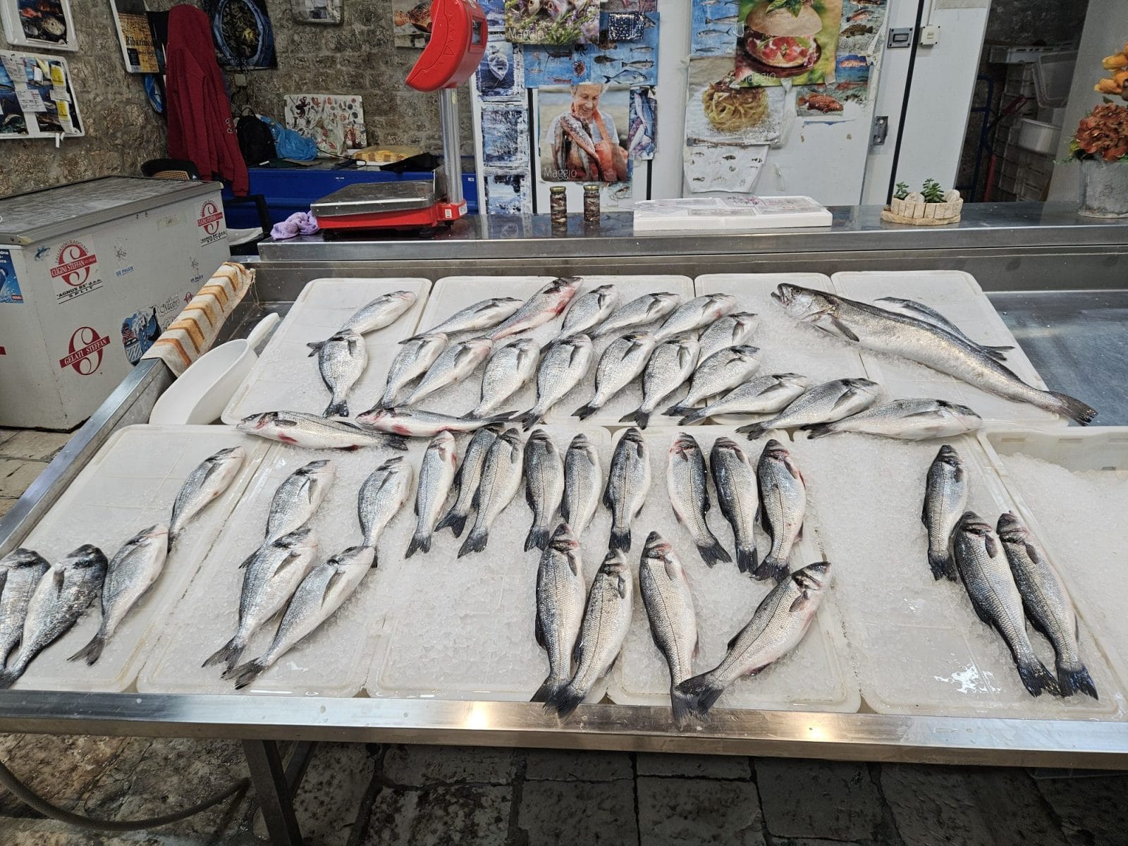 Fish Market