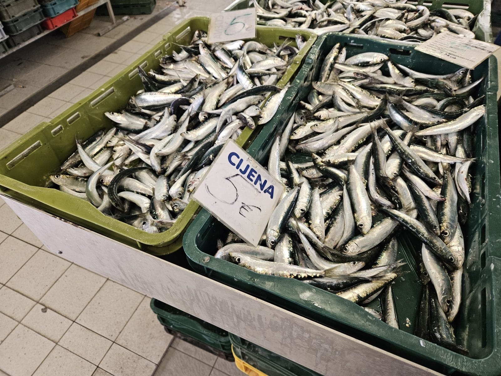 Fish Markets