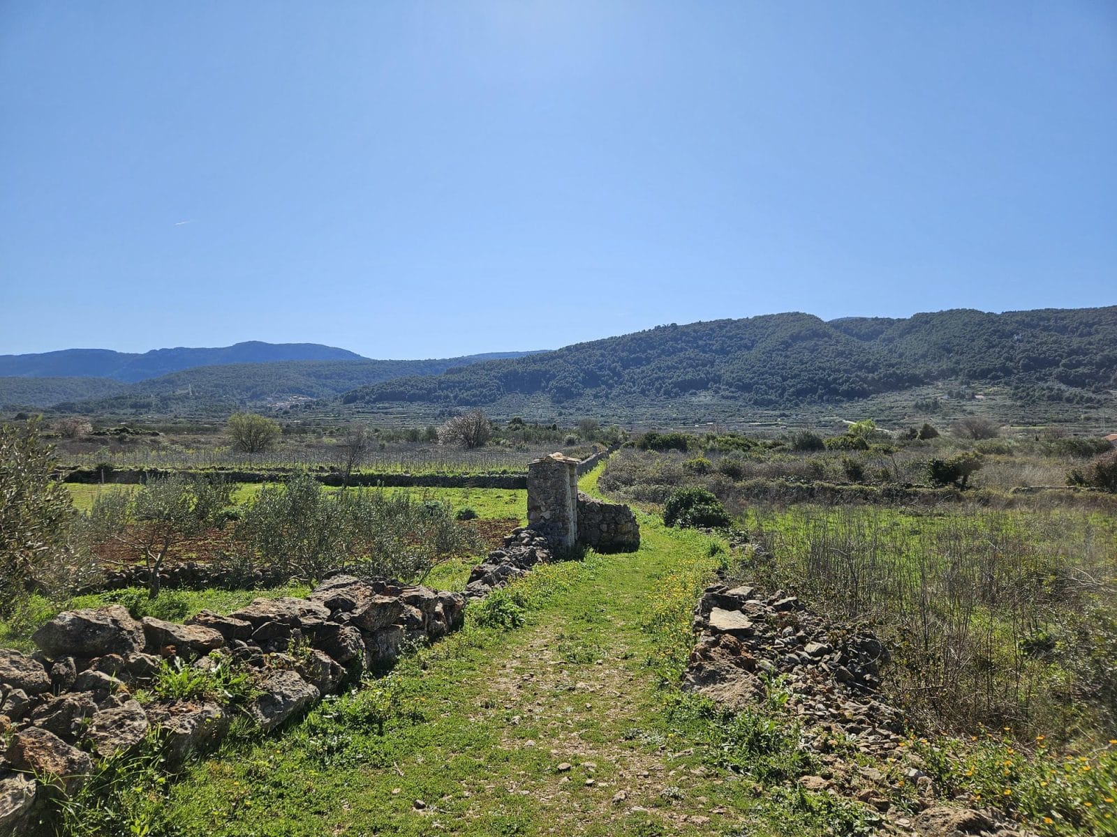 Hiking Trails